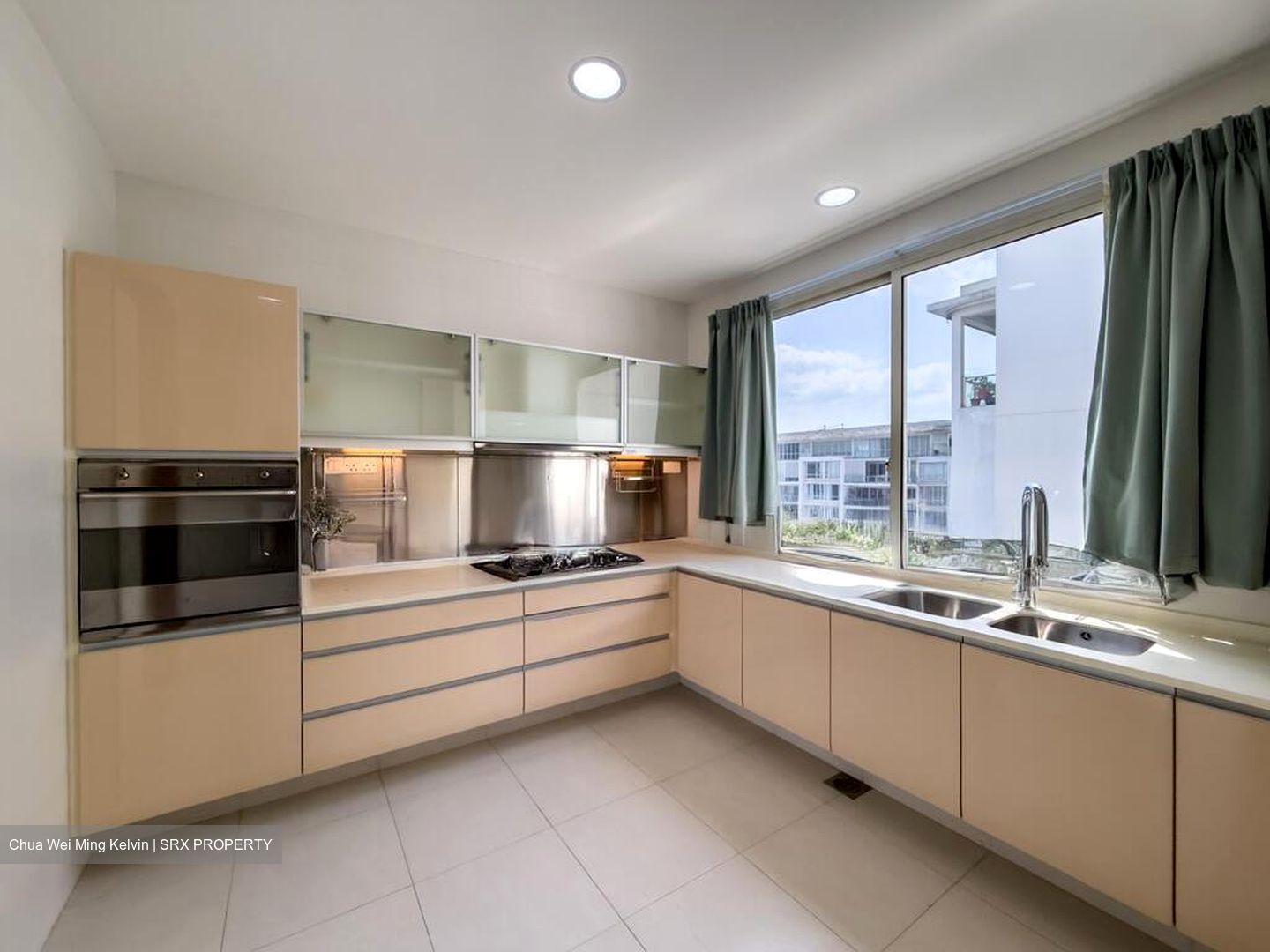 The Sea View (D15), Condominium #521133531